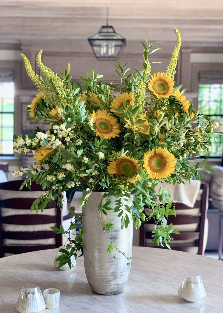 Sunshine Surprise