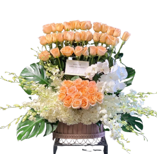 Splendid Orange and White Showcase